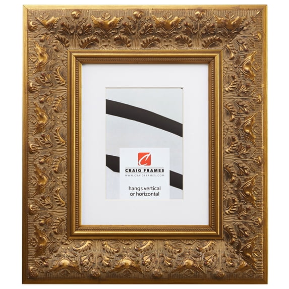 Craig Frames Borromini, 22x28 inch Gold and Bronze Picture Frame Matted for an 18x24 Photo