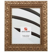 Craig Frames Bravada, 16x20 inch Picture Frame, Antique Bronze Ornate