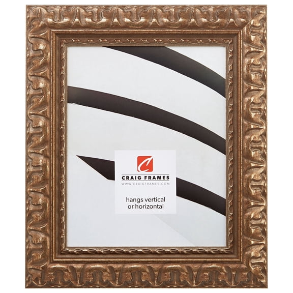 Craig Frames Bravada, 20x24 inch Picture Frame, Antique Bronze Ornate