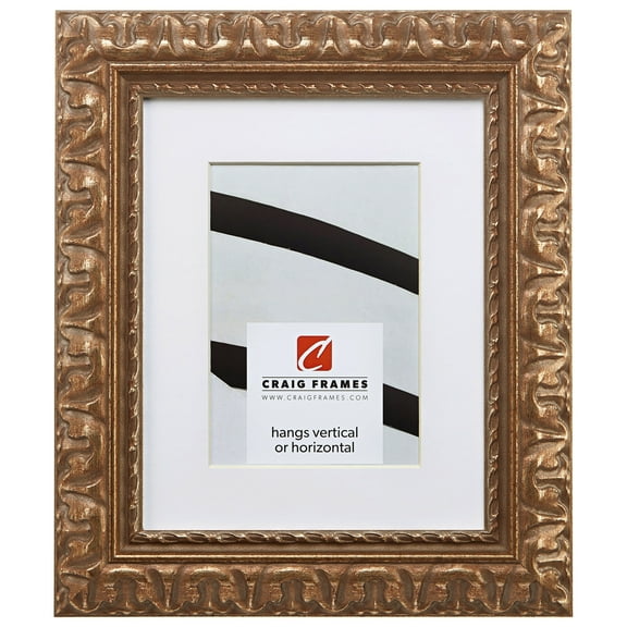 Craig Frames Bravado Ornate, 11x17 inch Antique Bronze Picture Frame Matted for an 8x12 Photo
