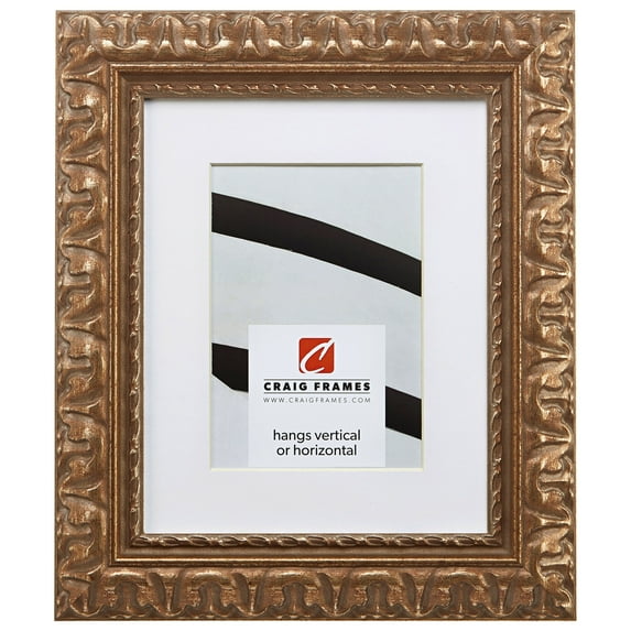 Craig Frames Bravado Ornate, 14x20 inch Antique Bronze Picture Frame Matted for a 11x17 Photo