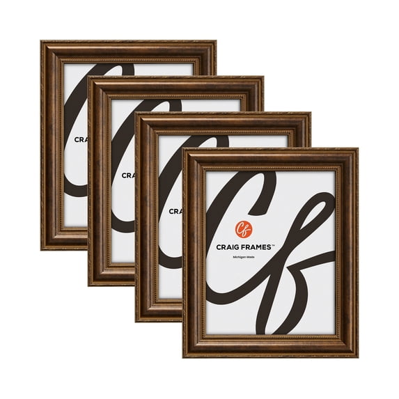 Craig Frames Bronze 18x20 inch Picture Victoria Picture Frame, Set of Four
