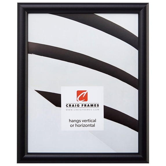 Craig Frames Bullnose, 10 x 12 Inches Picture Frame, Contemporary Black