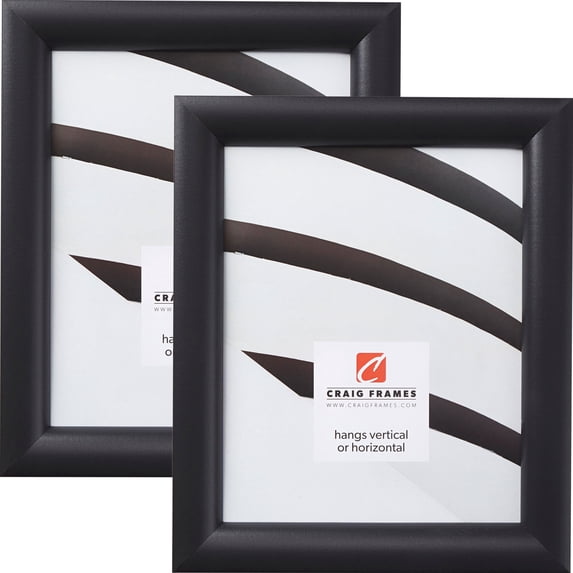 Craig Frames Bullnose 125, Mystic Satin Black Picture Frame, 12x36 Inch, Set of 2