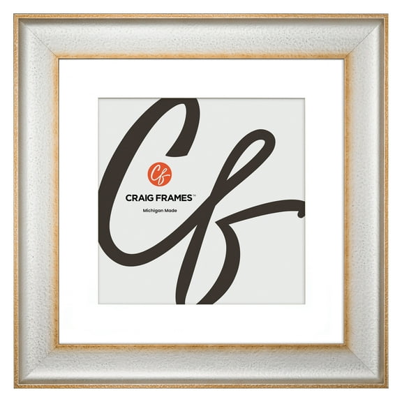 Craig Frames Cairo, 16x16 Picture Frame Matted for a 12x12 Photo, Silver