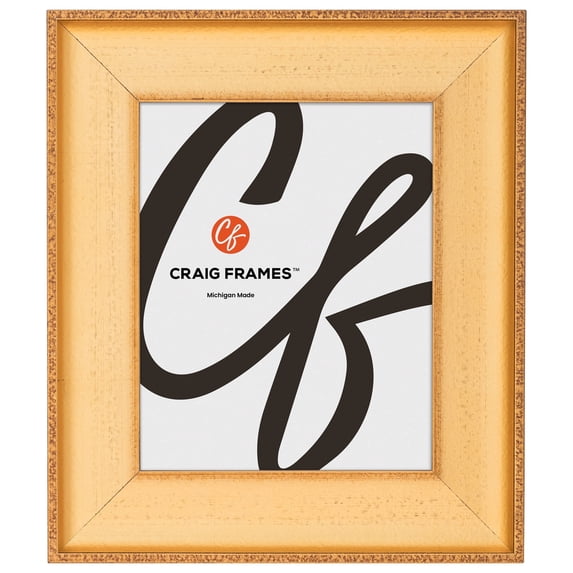 Craig Frames Cairo, 18x22 Picture Frame, Gold