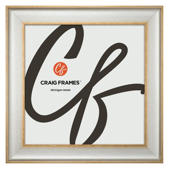 Craig Frames Cairo, 22x22 Picture Frame, Silver
