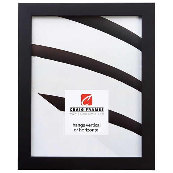 Craig Frames Confetti, 12x16 inch Picture Frame, Black