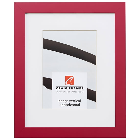 Craig Frames Confetti, 12x18 inch Modern Pink Picture Frame Matted for a 10x13 Photo