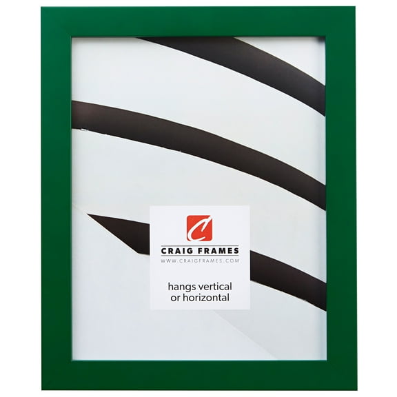 Craig Frames Confetti, 12x18 inch Picture Frame, Shamrock Green