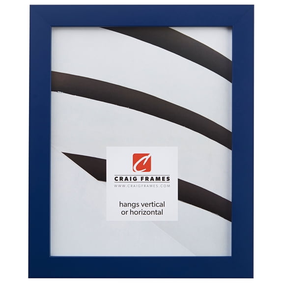 Craig Frames Confetti, 14x20 inch Picture Frame, Blue