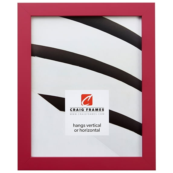 Craig Frames Confetti, 14x20 inch Picture Frame, Pink