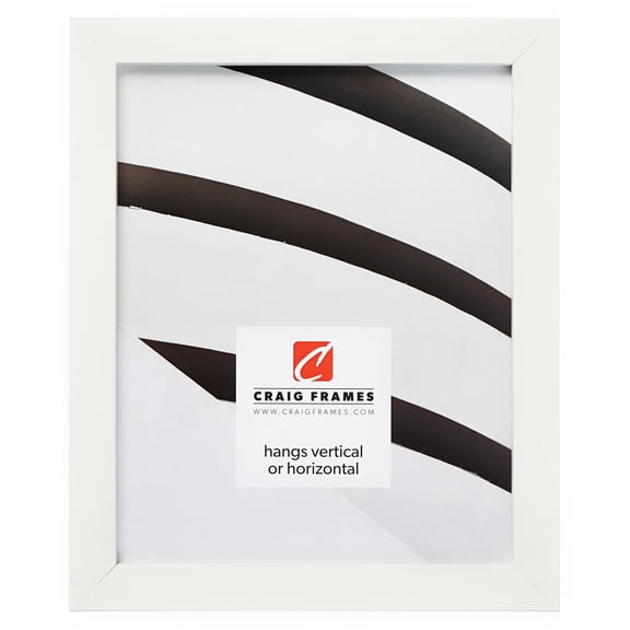 Craig Frames Confetti, 14x22 inch Picture Frame, Modern White