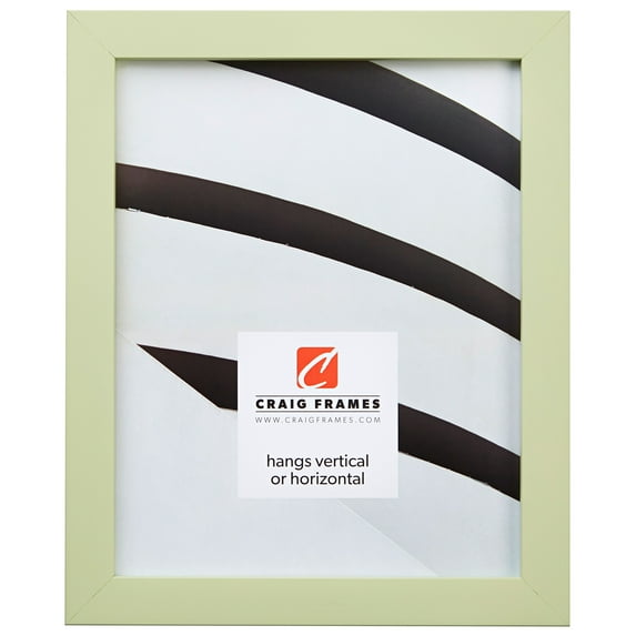 Craig Frames Confetti, 16x22 inch Picture Frame, Light Pastel Green
