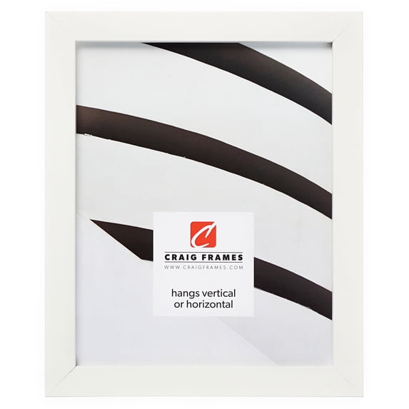 Craig Frames Confetti, 16x22 inch Picture Frame, Modern White