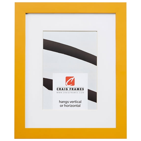 Craig Frames Confetti, 17x22 inch Modern Yellow Picture Frame Matted for a 13x19 Photo