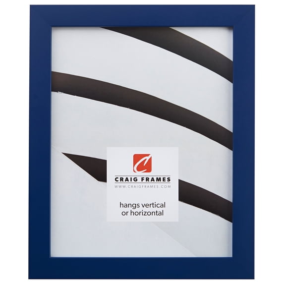 Craig Frames Confetti, 17x22 inch Picture Frame, Blue