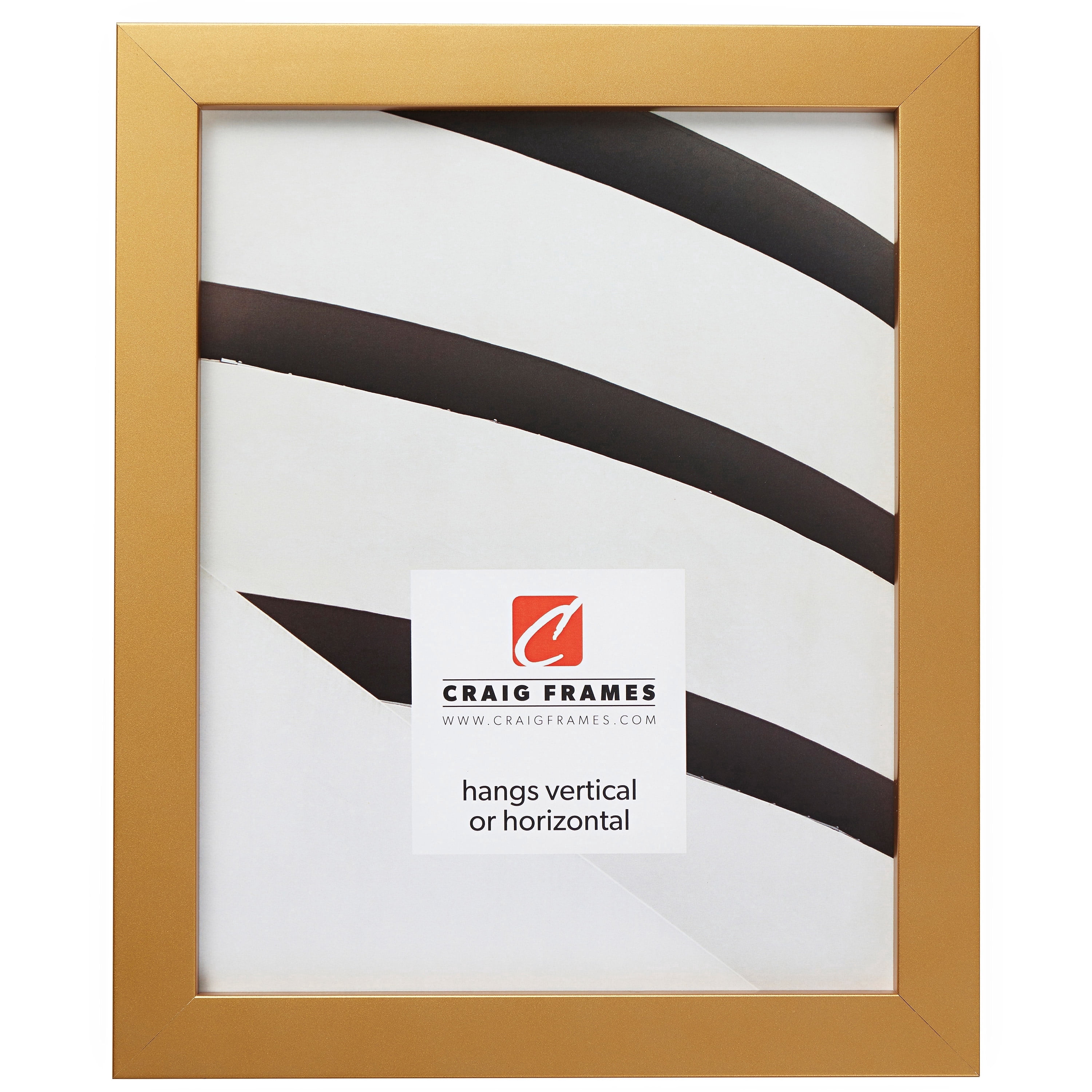 Craig Frames Confetti, 18x24 inch Picture Frame, Modern Gold