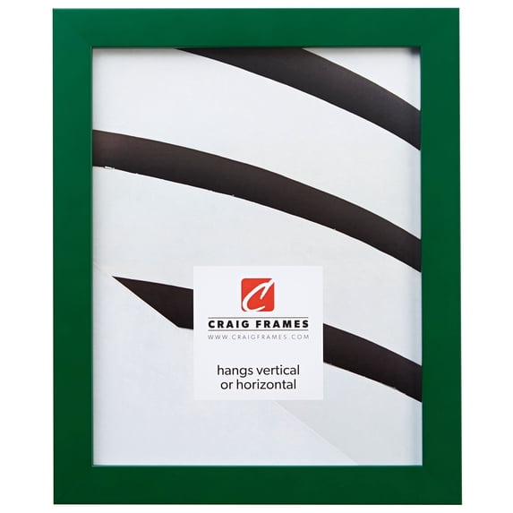 Craig Frames Confetti, 18x24 inch Picture Frame, Shamrock Green