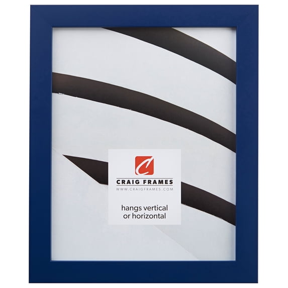 Craig Frames Confetti, 20x20 inch Picture Frame, Blue