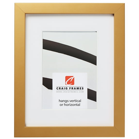 Craig Frames Confetti, 20x24 inch Modern Gold Picture Frame Matted for a 16x20 Photo