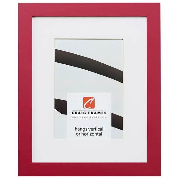 Craig Frames Confetti, 20x26 inch Modern Pink Picture Frame Matted for a 16x22 Photo