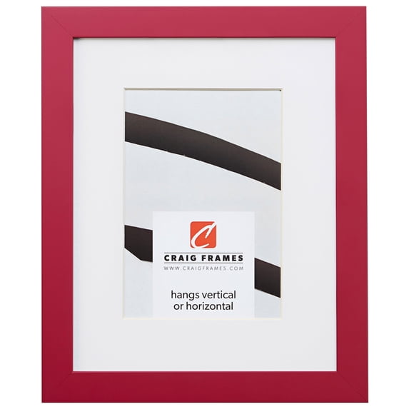 Craig Frames Confetti, 20x26 inch Modern Pink Picture Frame Matted for a 16x22 Photo