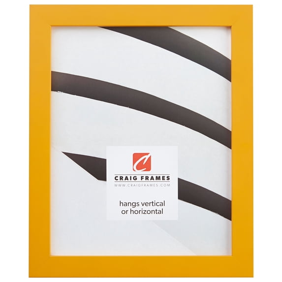 Craig Frames Confetti, 20x27 inch Picture Frame, Yellow