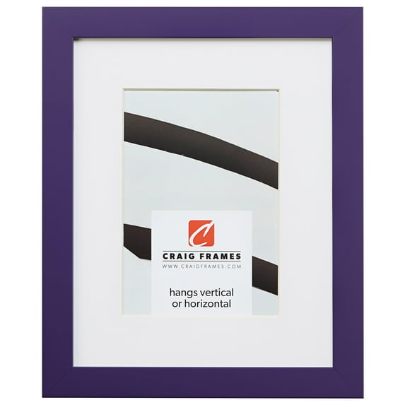 Craig Frames Confetti, 20x30 inch Modern Purple Picture Frame Matted for a 16x24 Photo