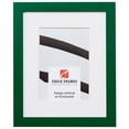 thumbnail image 1 of Craig Frames Confetti, 24x30 inch Modern Green Picture Frame Matted for a 20x26 Photo, 1 of 5