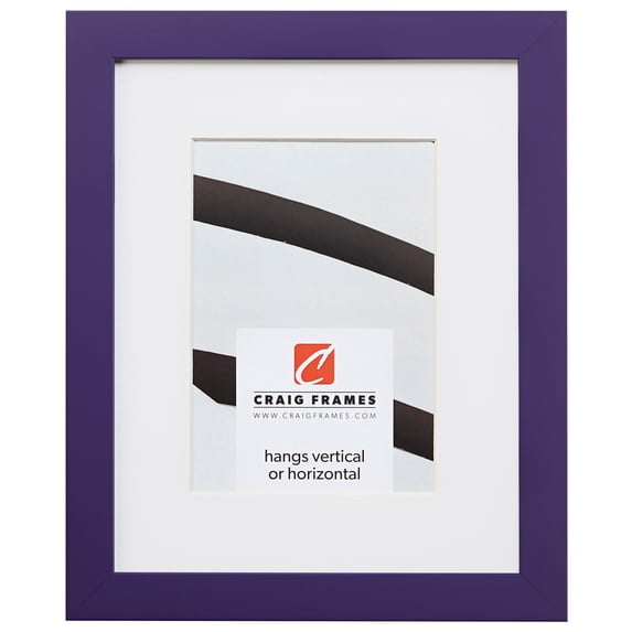 Craig Frames Confetti, 24x32 inch Modern Purple Picture Frame Matted for a 20x28 Photo