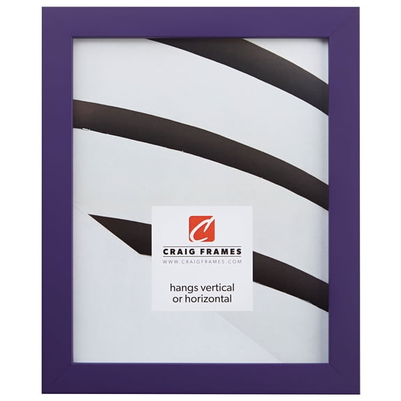 Craig Frames Confetti, 4x10 inch Picture Frame, Purple