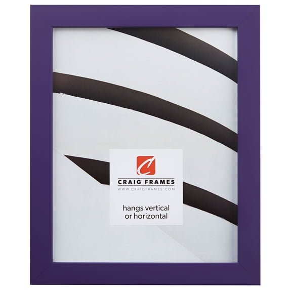 Craig Frames Confetti, 4x10 inch Picture Frame, Purple