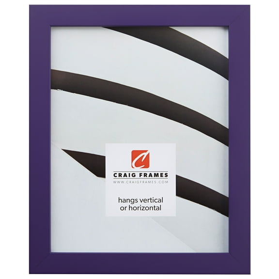 Craig Frames Confetti, 4x6 inch Picture Frame, Purple