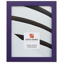 Craig Frames Confetti, 8.5x11 inch Picture Frame, Purple