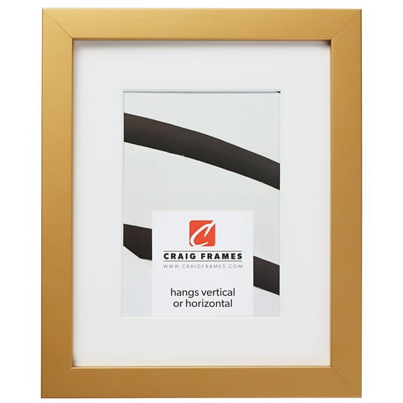 Craig Frames Confetti, 8x12 inch Modern Gold Picture Frame Matted for a 5x7 Photo