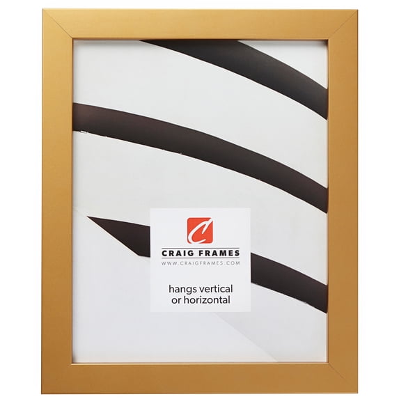 Craig Frames Confetti, 8x12 inch Picture Frame, Modern Gold