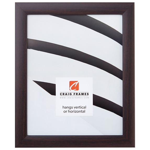 Craig Frames Contemporary 1", 16 x 20 inch Picture Frame, Brazilian Walnut Brown