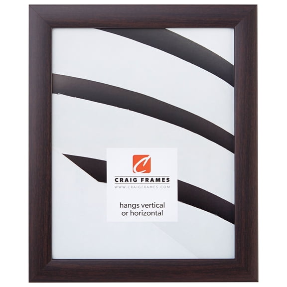 Craig Frames Contemporary 1", 18 x 24 inch Picture Frame, Brazilian Walnut Brown