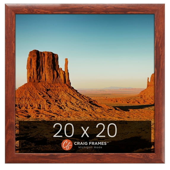 Craig Frames Contemporary 1", 20 x 20 inch Picture Frame, Modern Honey Brown