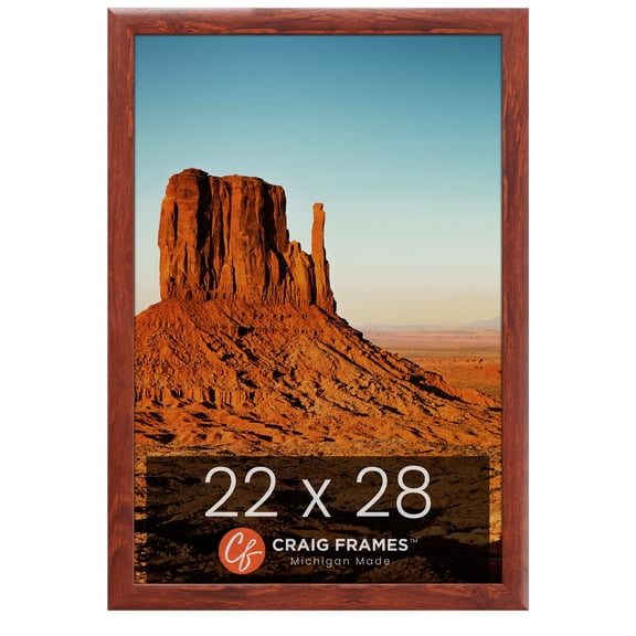 Craig Frames Contemporary 1", 22 x 28 Inches Picture Frame, Modern Honey Brown