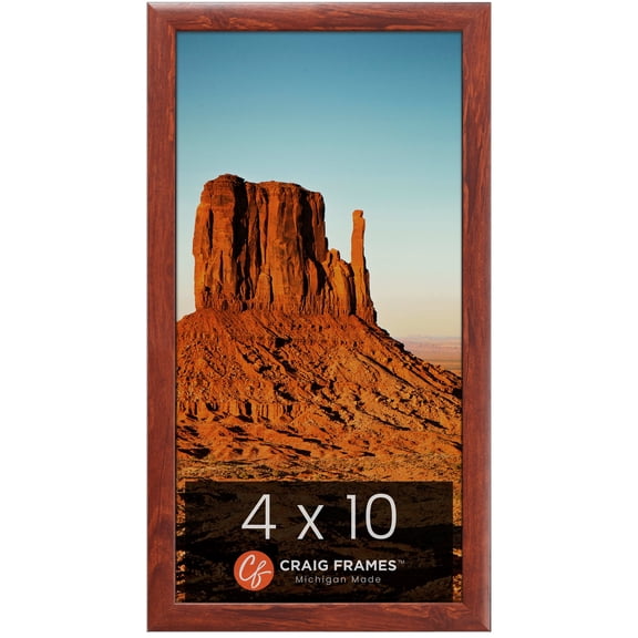 Craig Frames Contemporary 1", 4 x 10 inch Picture Frame, Modern Honey Brown