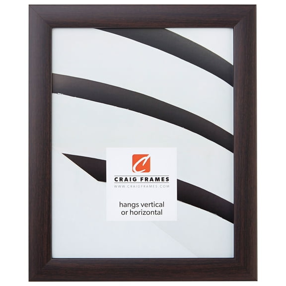 Craig Frames Contemporary 1",10 x 13 inch Picture Frame, Brazilian Walnut Brown