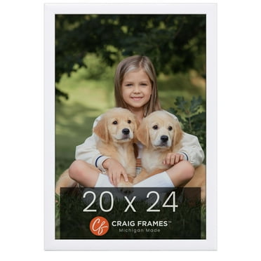Craig Frames Contemporary 1",&nbsp;20 x 24 inch Picture Frame, Modern White