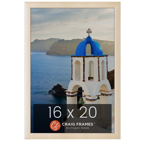 Craig Frames Contemporary, 16x20 Picture Frame, Natural