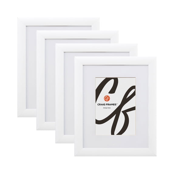 Craig Frames Contemporary, 20x30 Inch White Picture Frame Matted to Display a 16x24 Inch Photo, Set of 4