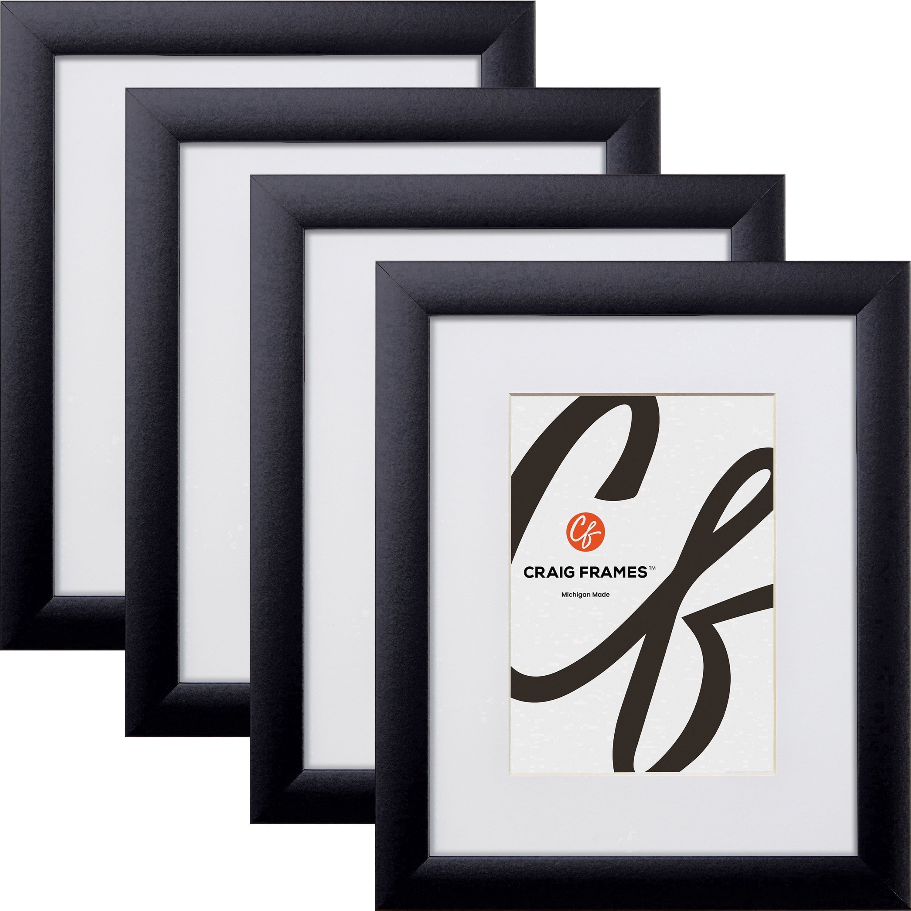 Craig Frames Contemporary, 24 x 30 Inch Black Picture Frame Matted to ...