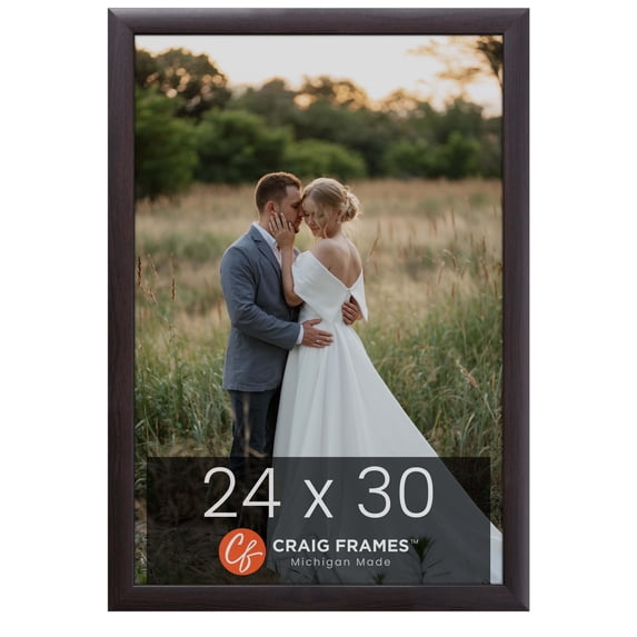 Craig Frames Contemporary, 24 x 30 inch Picture Frame, Brazilian Walnut Brown