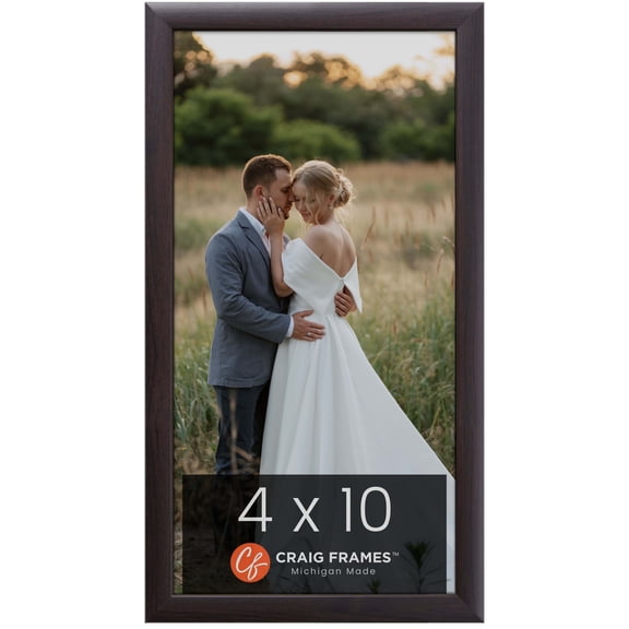 Craig Frames Contemporary, 4 x 10 inch Picture Frame, Brazilian Walnut Brown