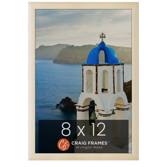 Craig Frames Contemporary, 8x12 Picture Frame, Natural
